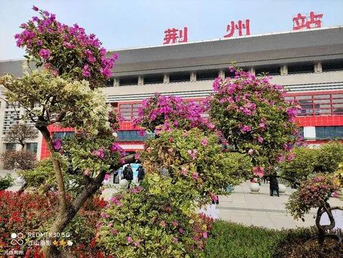 珠海到荆州物流公司|珠海到荆州专线|值得信赖